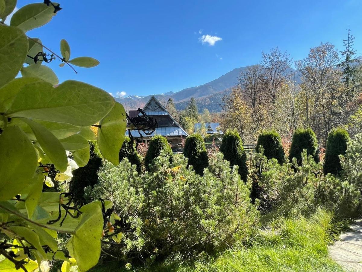 Apartamenty Convallis Kościelisko Dış mekan fotoğraf